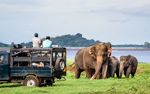 Jeep Safari